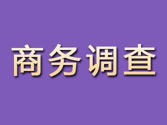 海口商务调查